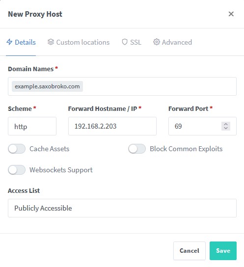 Add proxy host